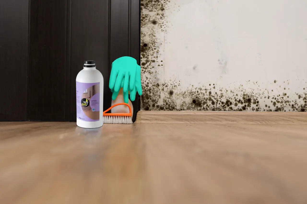 ¿Olor a moho en la habitación? No uses ambientadores y elimina la causa con este truco