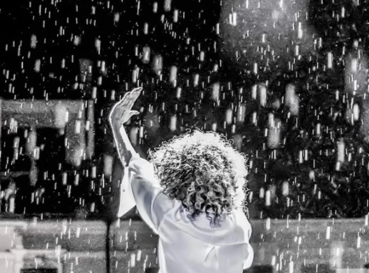 No cubras tus plantas de esta manera cuando llueve o podrías matarlas