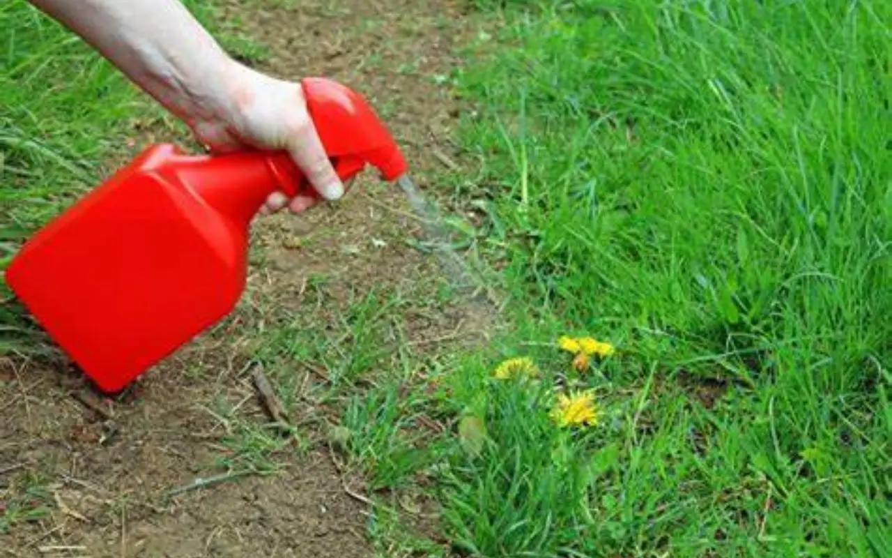¿Qué producto debo utilizar para fumigar mi casa?