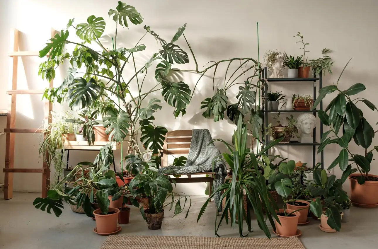 La tienda de plantas y decoración que arrasa en España: así es por dentro